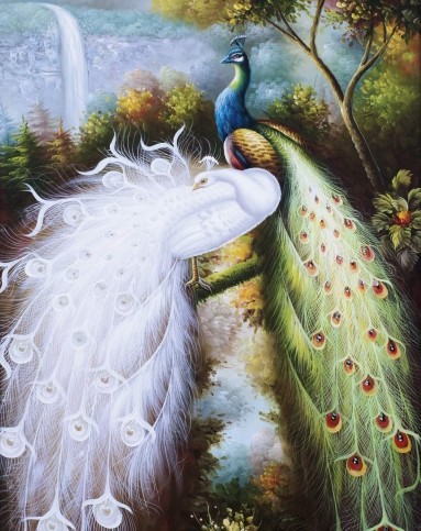 欧式高档客厅书房单联装饰画白孔雀kw-1416(66×80cm)