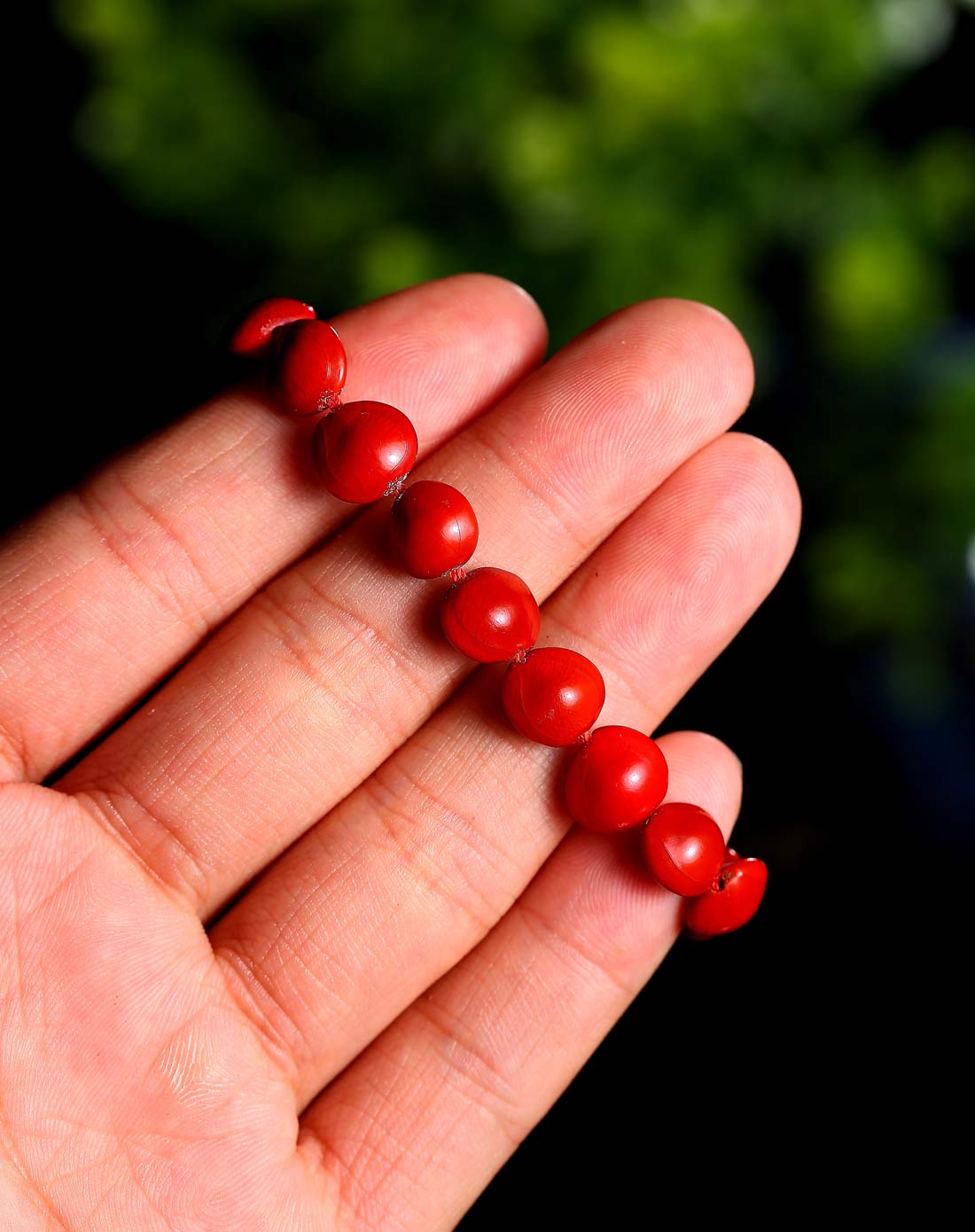 天然红豆相思豆菩提子手串