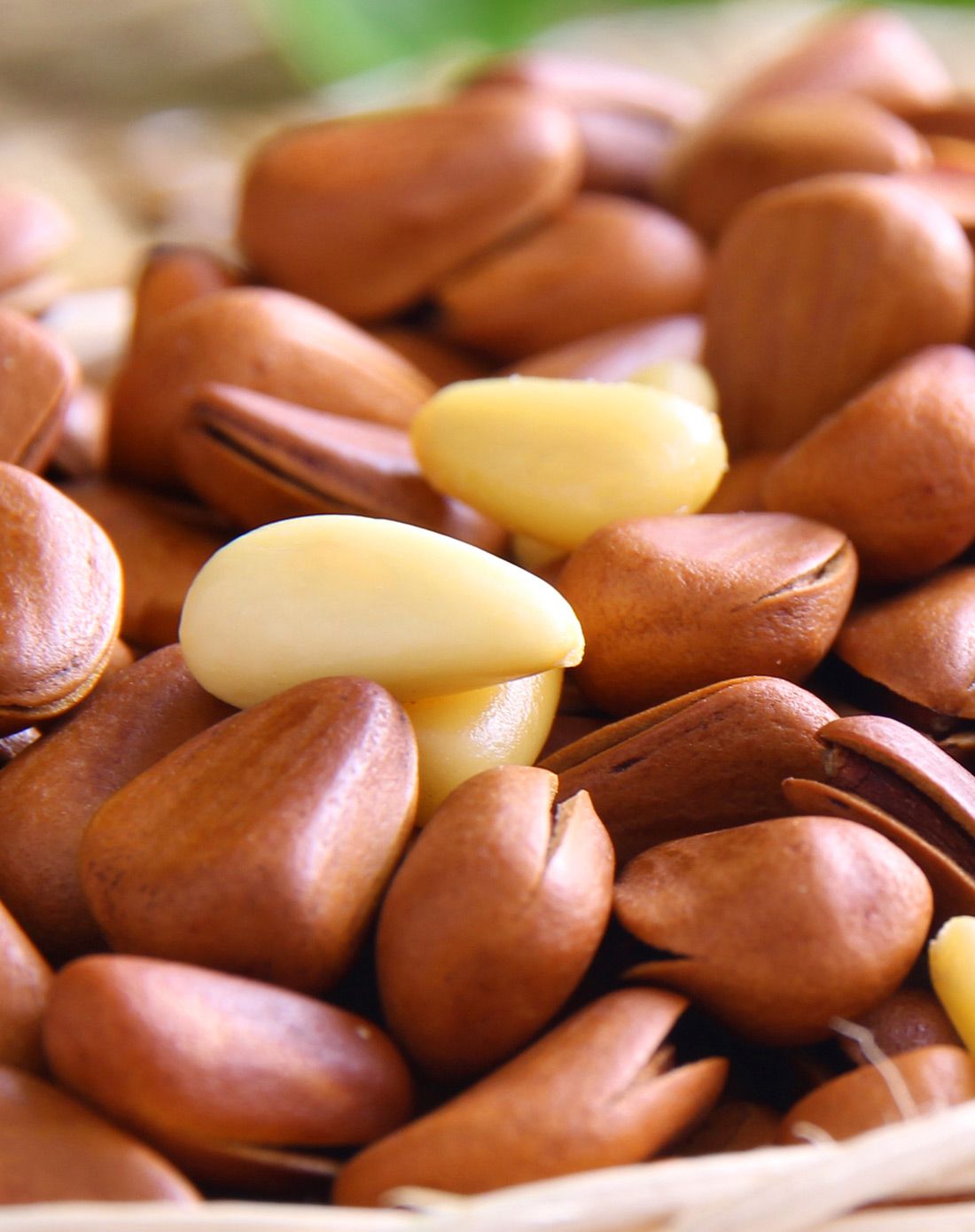 (2件起售)东北松子200g