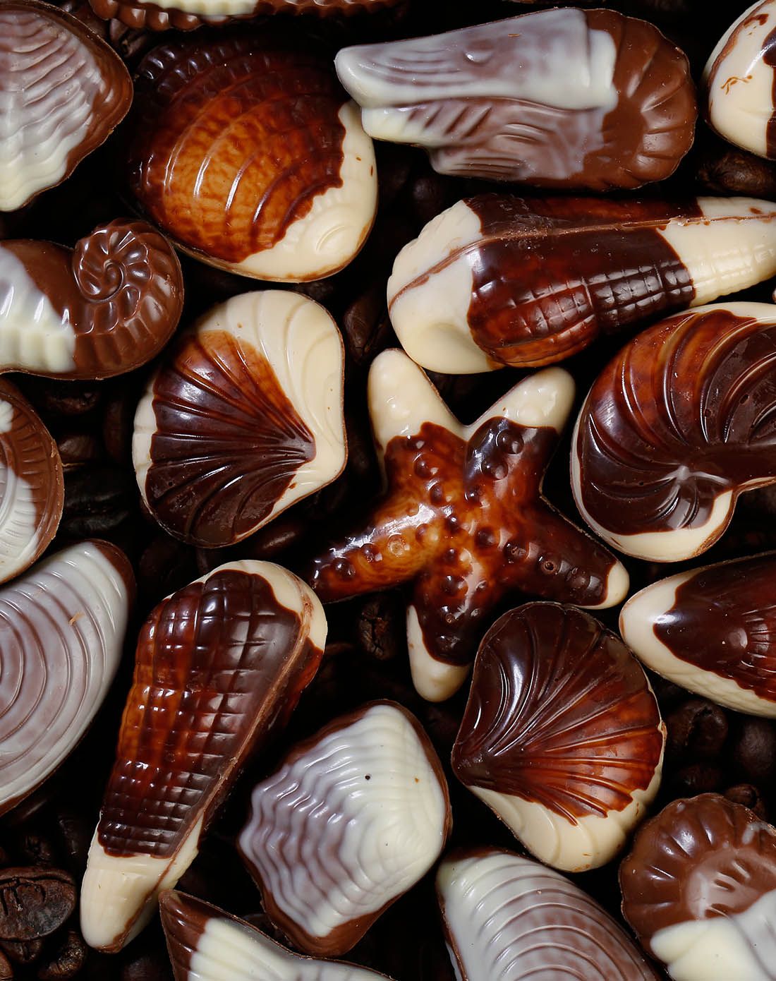 hamlet哈姆雷特 萌趣贝壳 女神喜爱贝壳形什锦巧克力250g