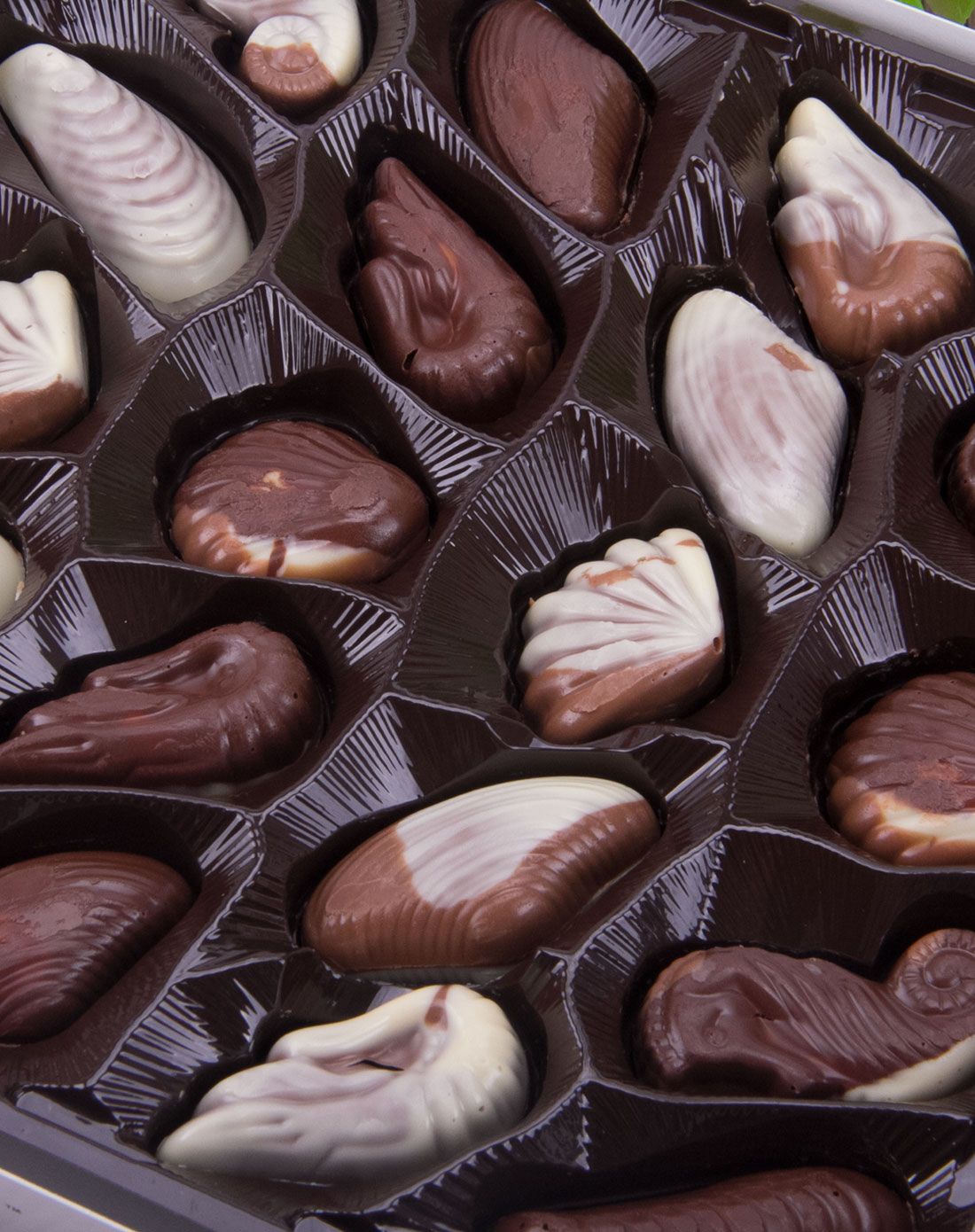 可尼斯贝壳形夹心巧克力195克